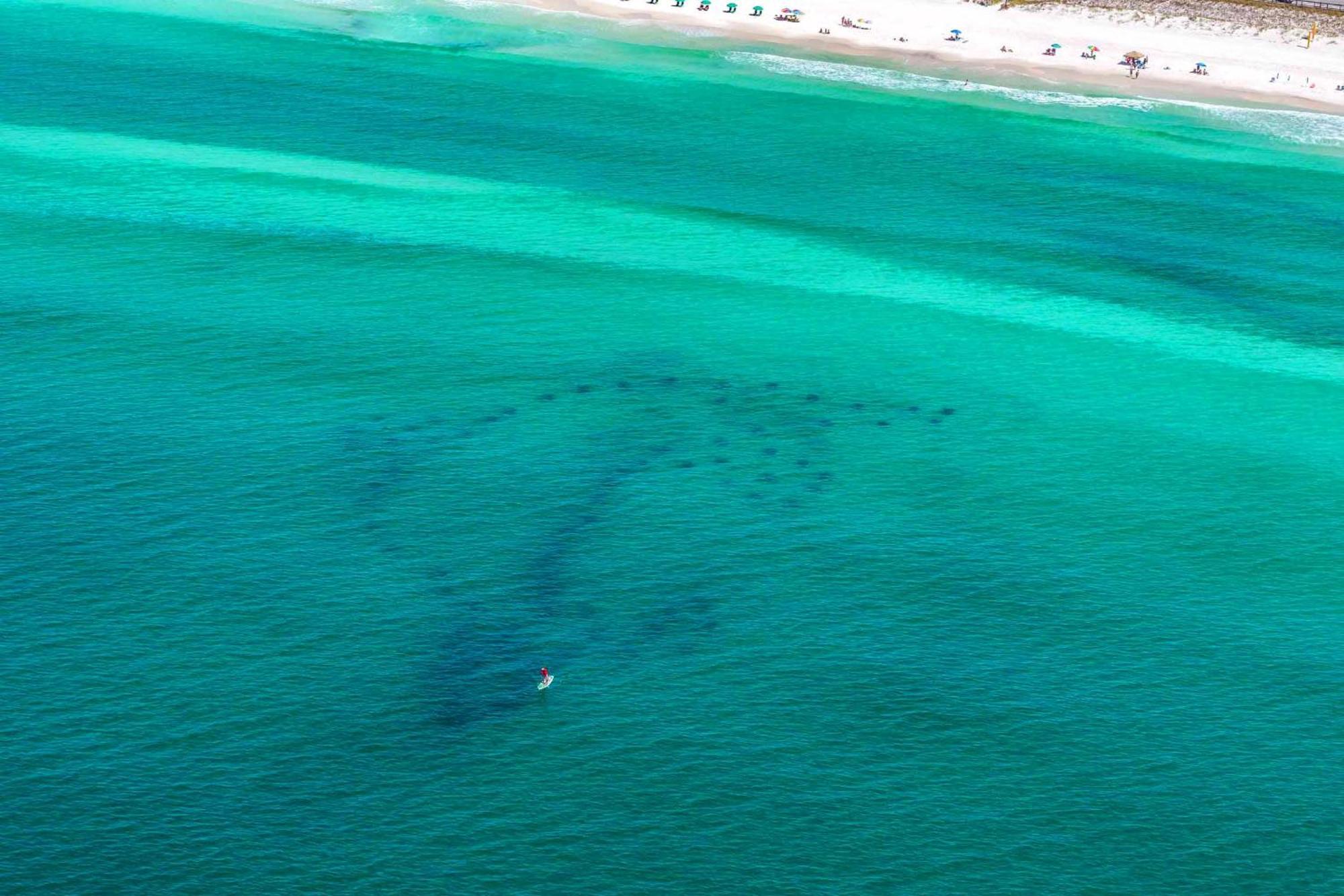Ariel Dunes I 1502 Destin Zewnętrze zdjęcie